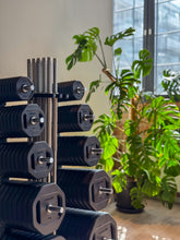 Kép betöltése a galériamegjelenítőbe: The Group – Prémium súlyzós rendszer csoportos edzésekhez- Gungnir of Norway